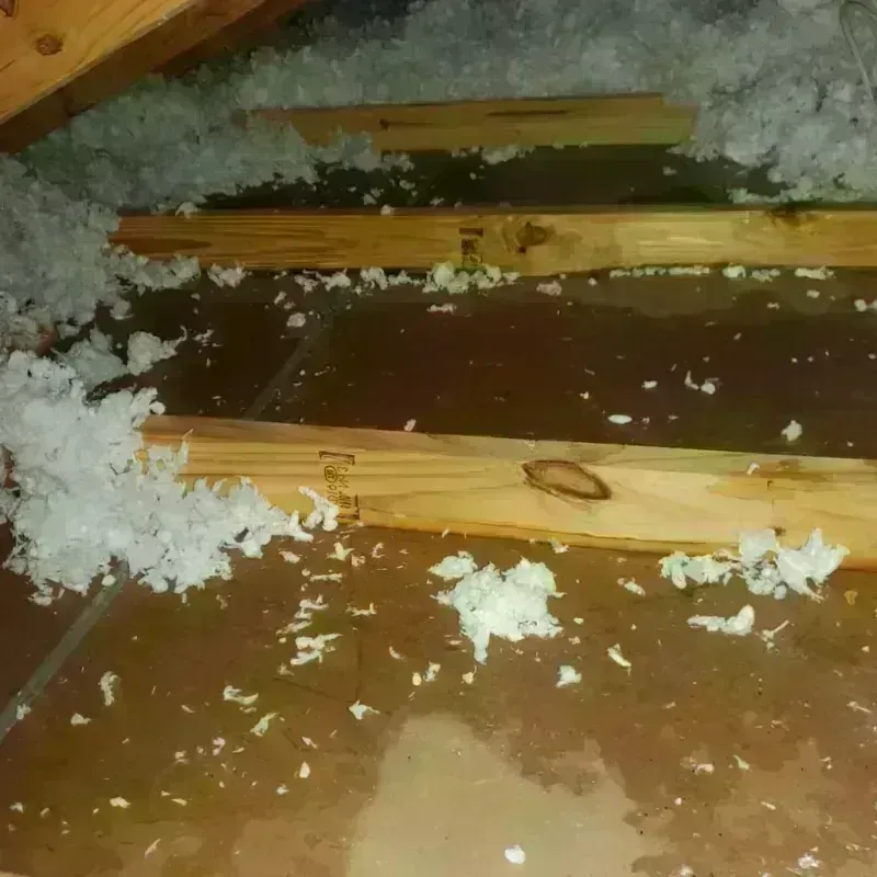 Attic Water Damage in Lawrence County, PA